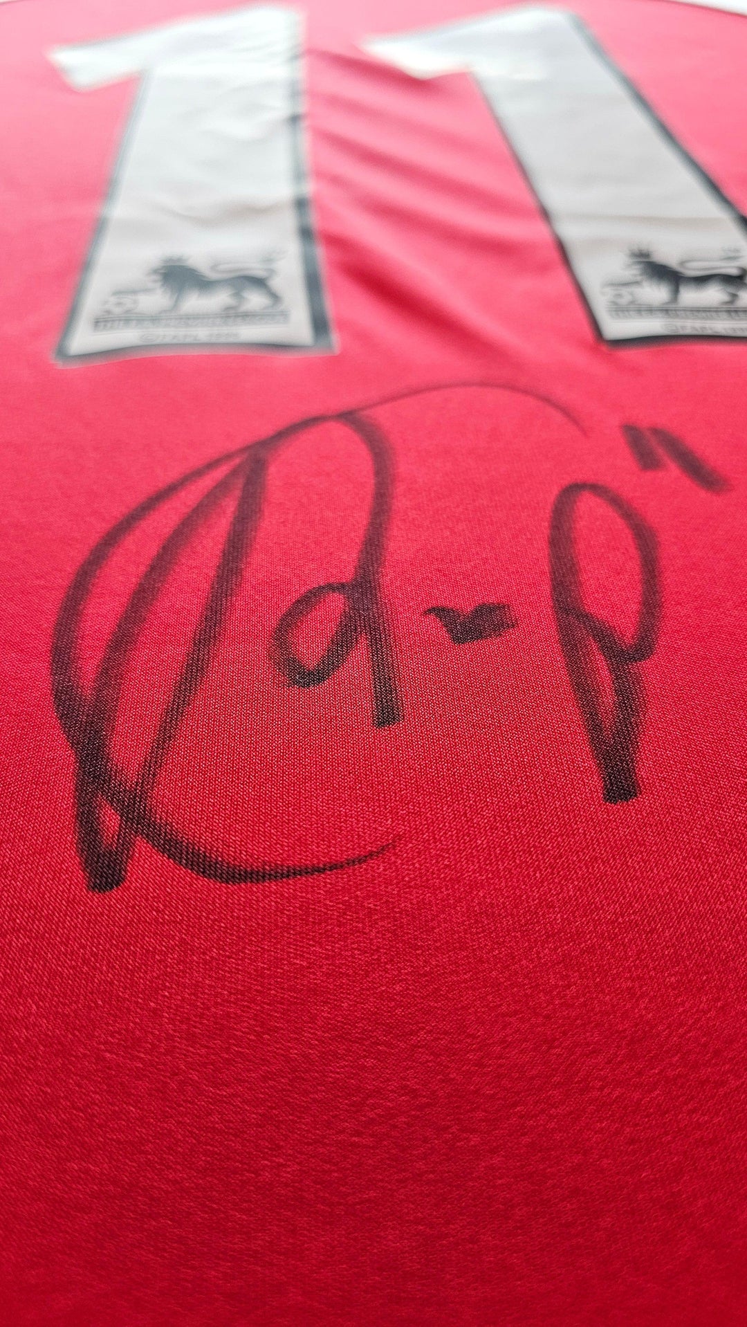 Robin van Persie 11 Arsenal 2004-2005 - Signed Football Shirt | Debut Season