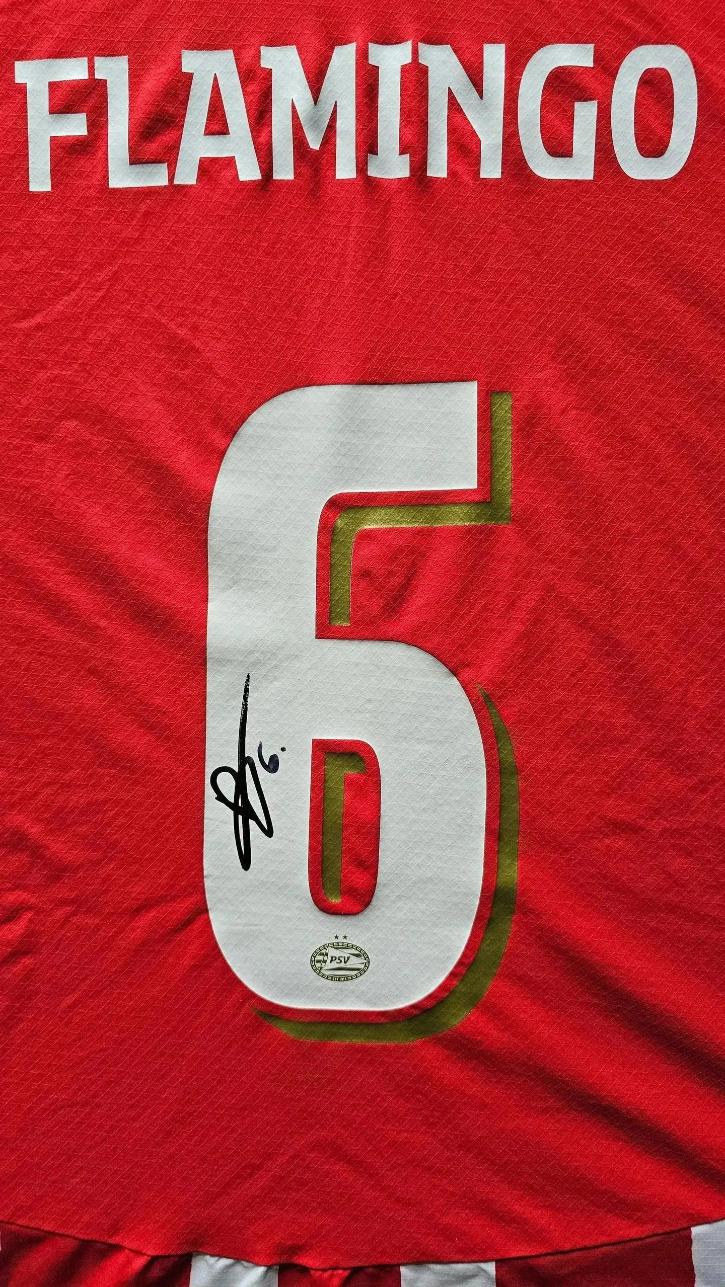 Back view showing Flamengo's name, No. 6, and signature detail on a red football shirt.