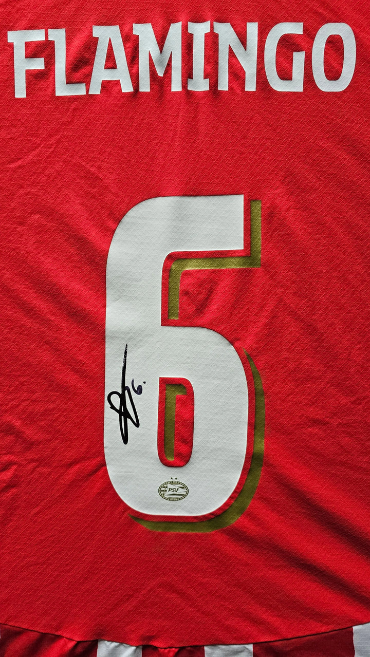 Ryan Flamingo 6 PSV Signed Football Shirt | Match-Worn Champions League