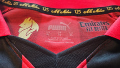 Detail view showing AC Milan 125th Anniversary crest and Puma branding on the signed soccer jersey.
