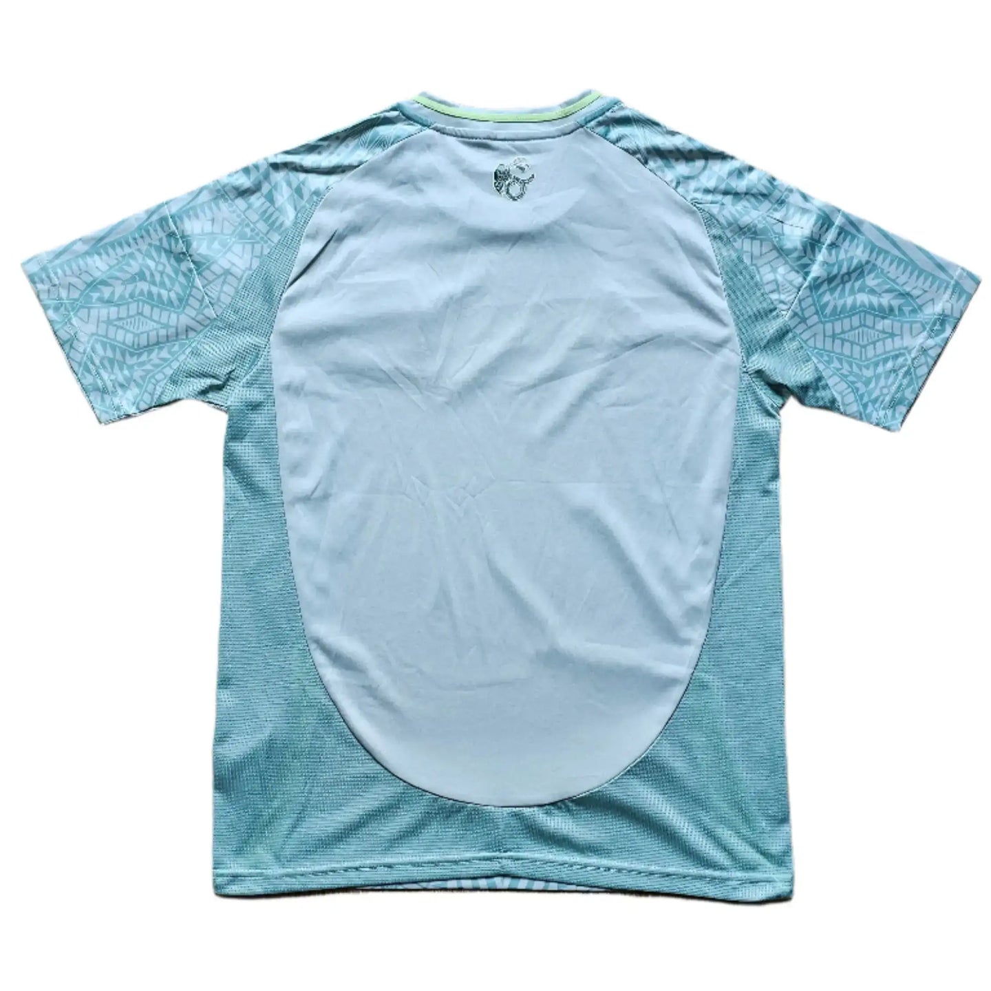 Back view showing no visible text or details on the Santiago Gimenez signed football shirt.