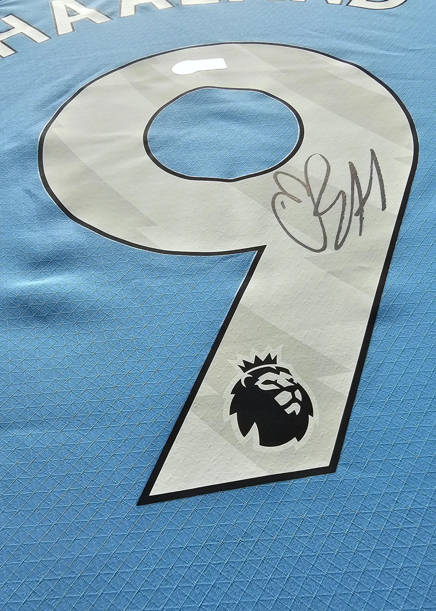 Detail of No. 9 with signature and Premier League crest on a light blue football shirt.