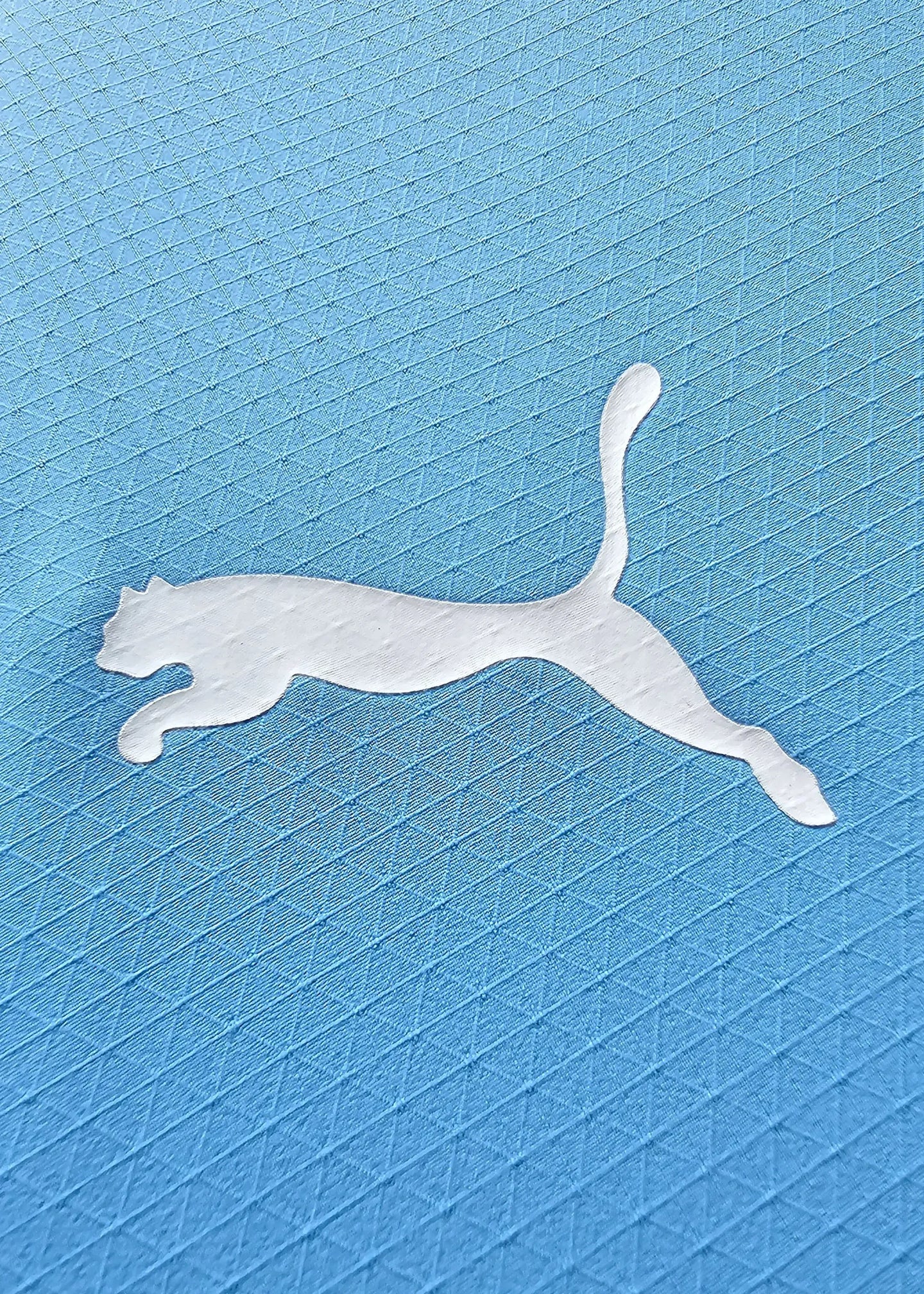 Close-up of the white Puma logo on a blue football shirt.