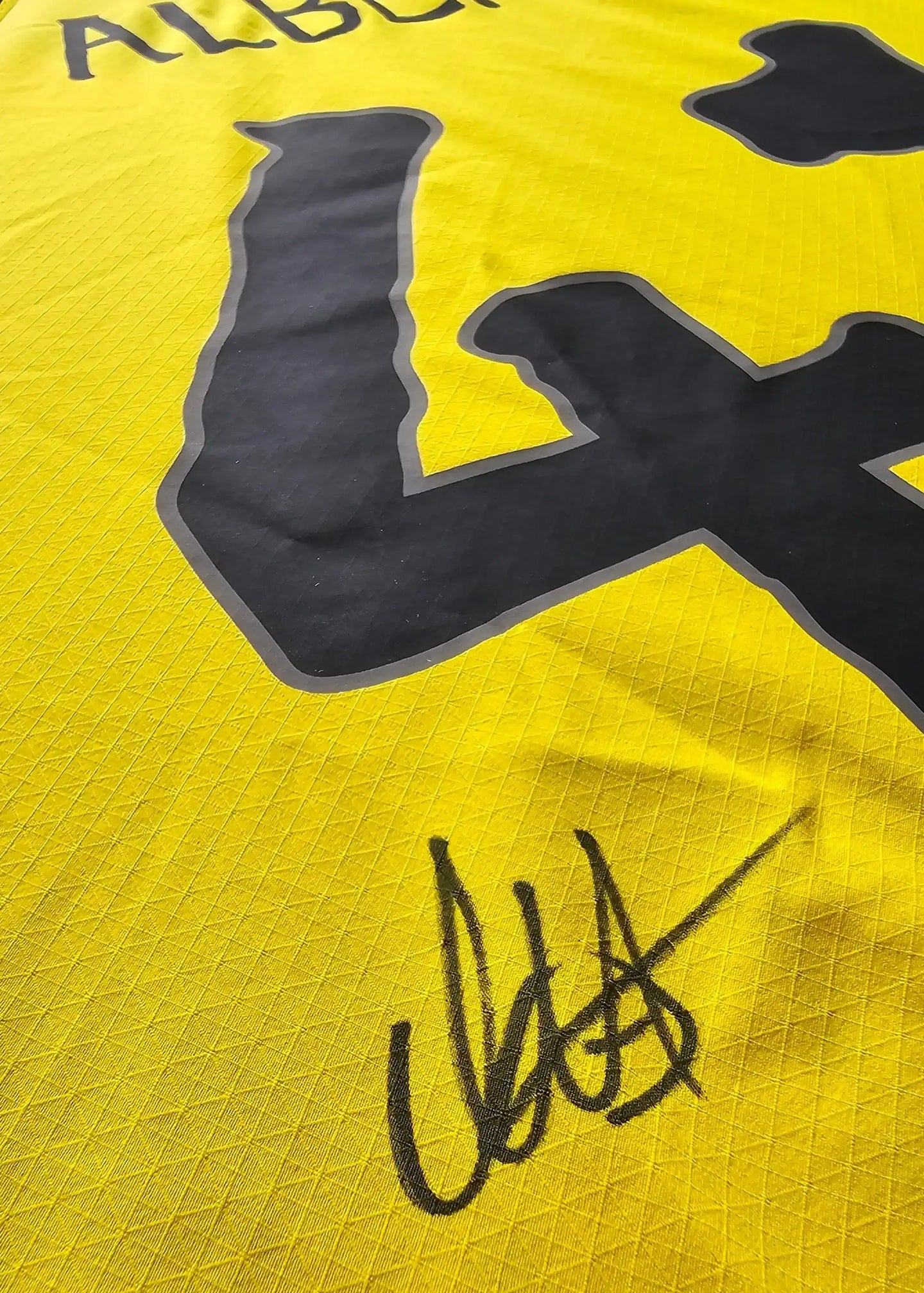 Detail view showing signature of Albert on yellow jersey with No. 41.