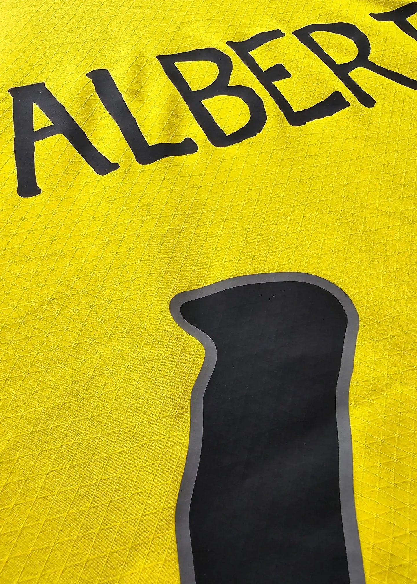 Back view showing name Albert and No. 41 on a yellow Borussia Dortmund football shirt.