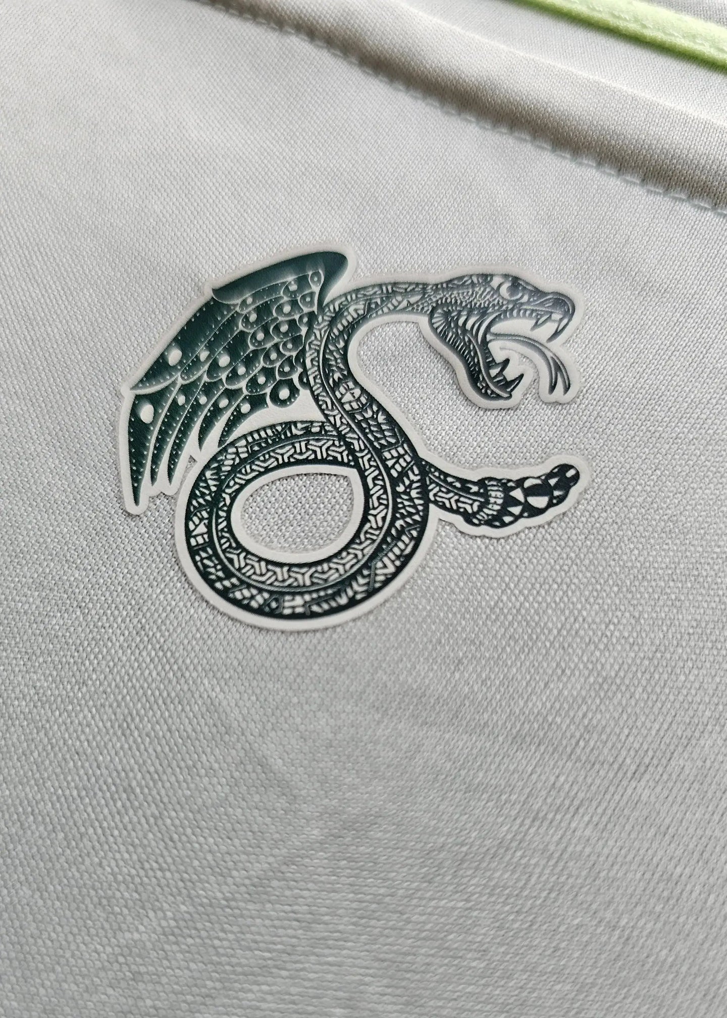 Crest detail featuring green dragon emblem on textured gray background.