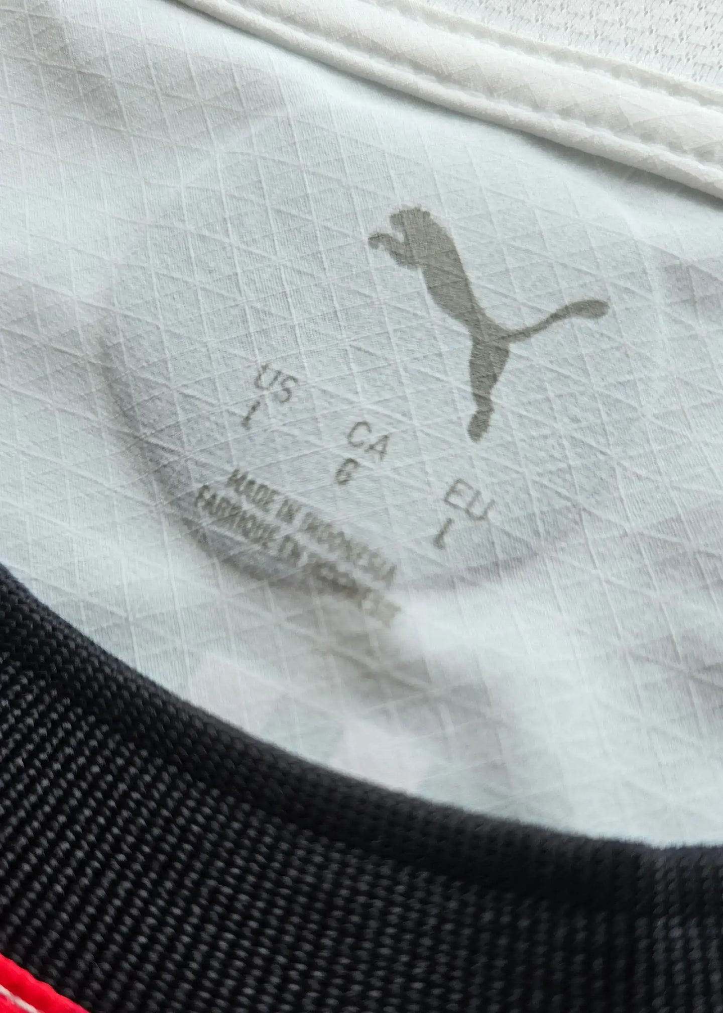 Size label showing US L, CA L, EU L, with Puma logo on the collar of the football shirt.