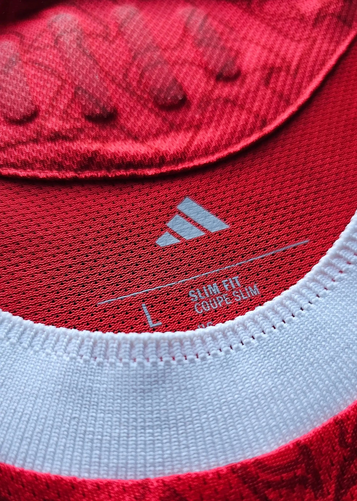 Inside view showing size label 'L' and text 'SLIM FIT' on red fabric with white collar.
