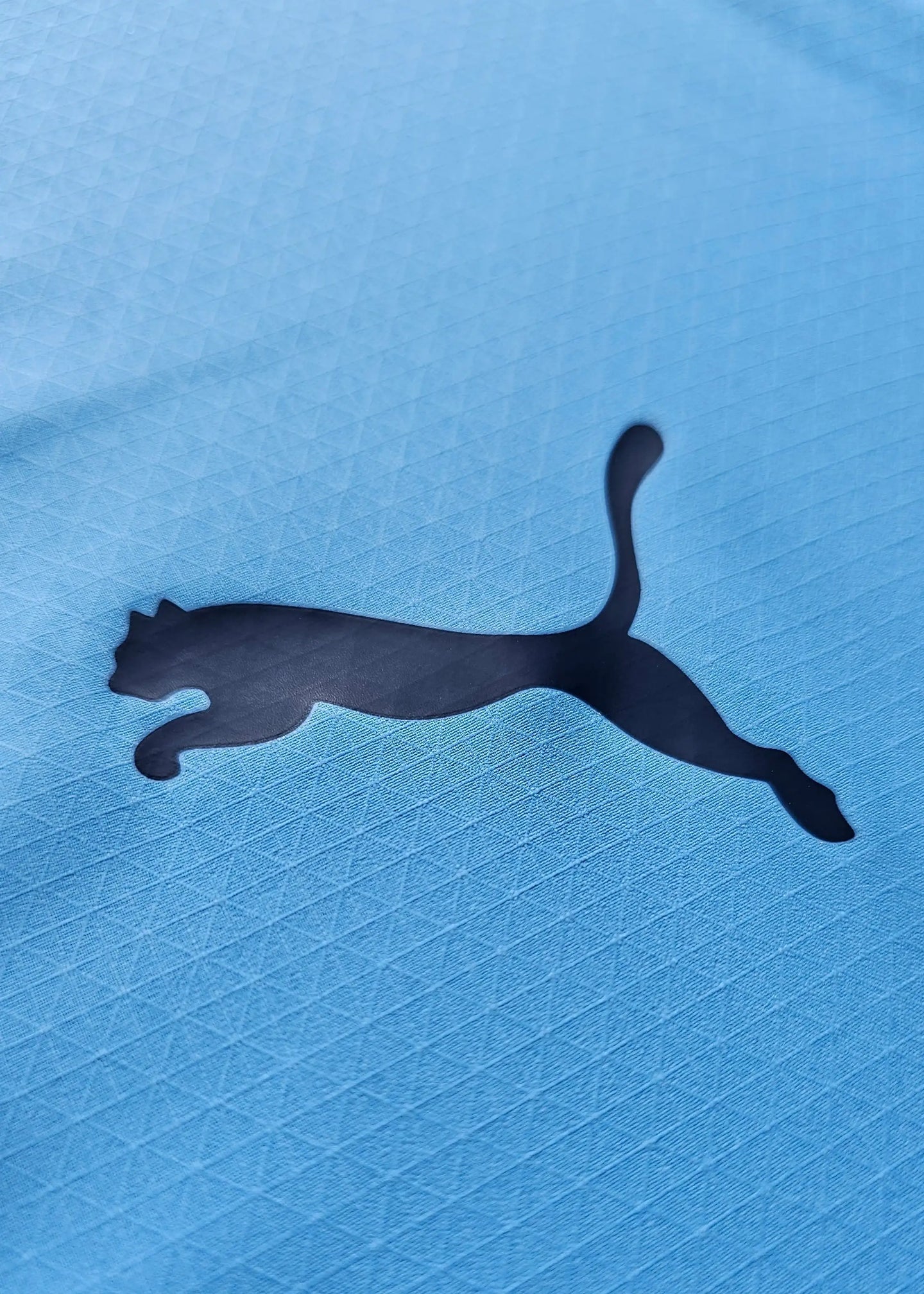Close-up of the black Puma logo on a textured blue football shirt.