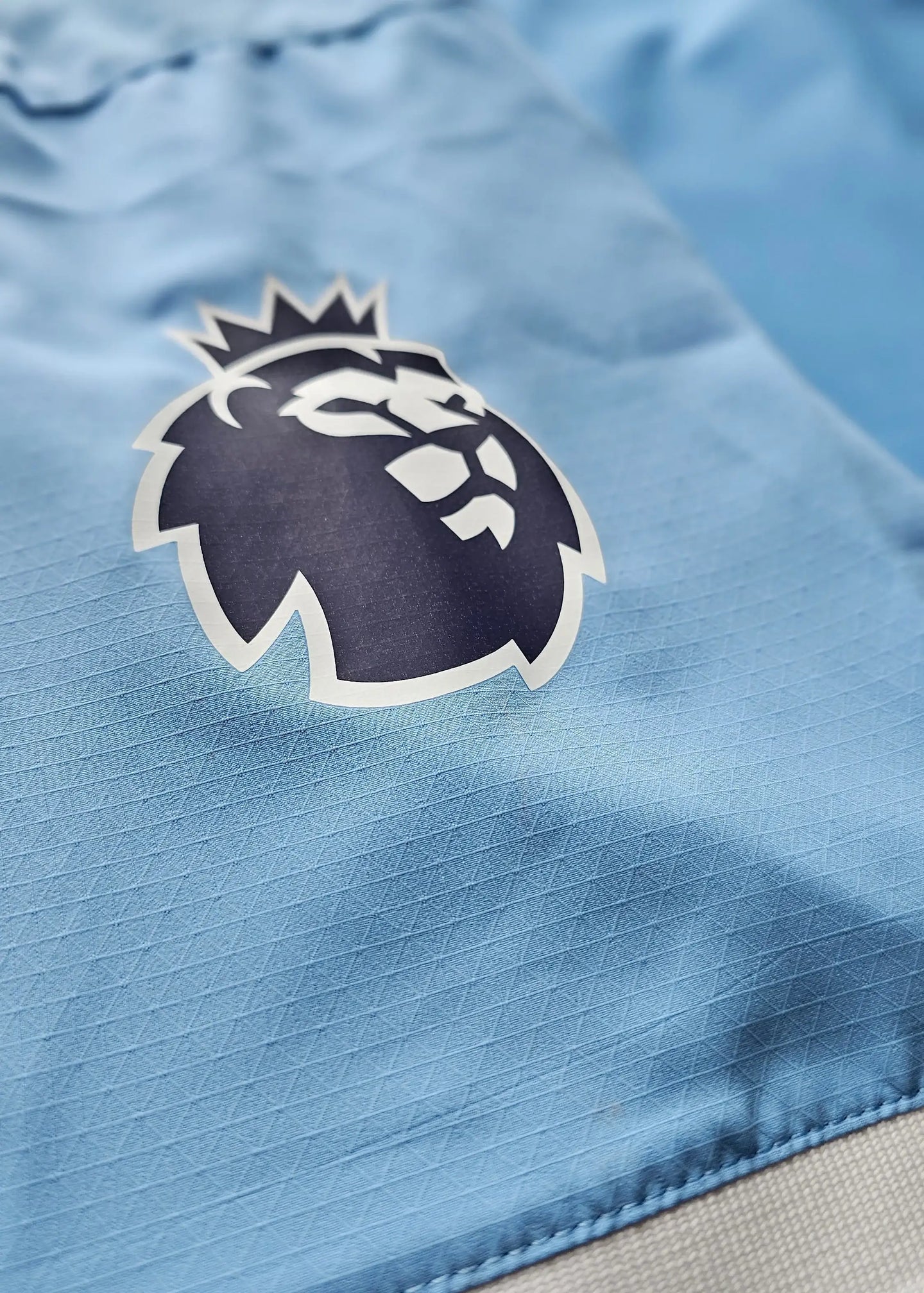 Close-up of the Premier League lion crest on a blue background.