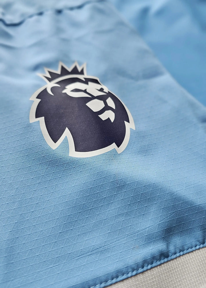 Close-up of the Premier League lion crest on a blue background.