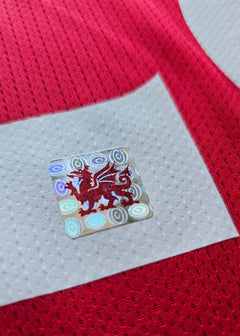Close-up of Wrexham crest detail featuring a red dragon on a reflective background.