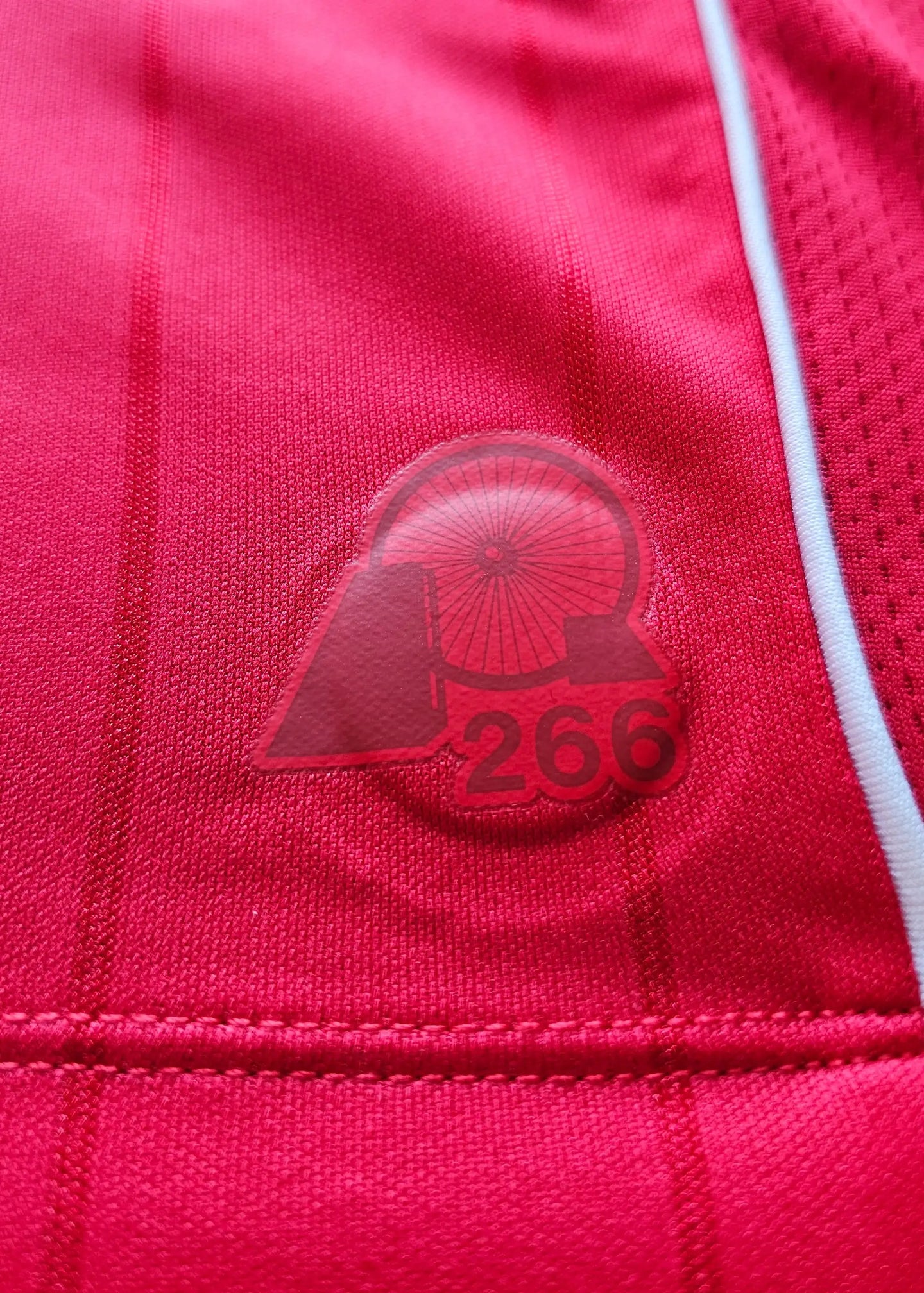 Detail view showing red crest with number 266 and wheel emblem.
