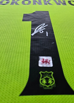Close-up showing No. 1, signature, and Wrexham crest on green football shirt.