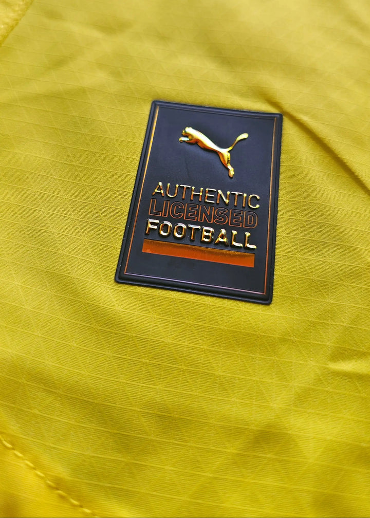 Close-up of crest detail showing &