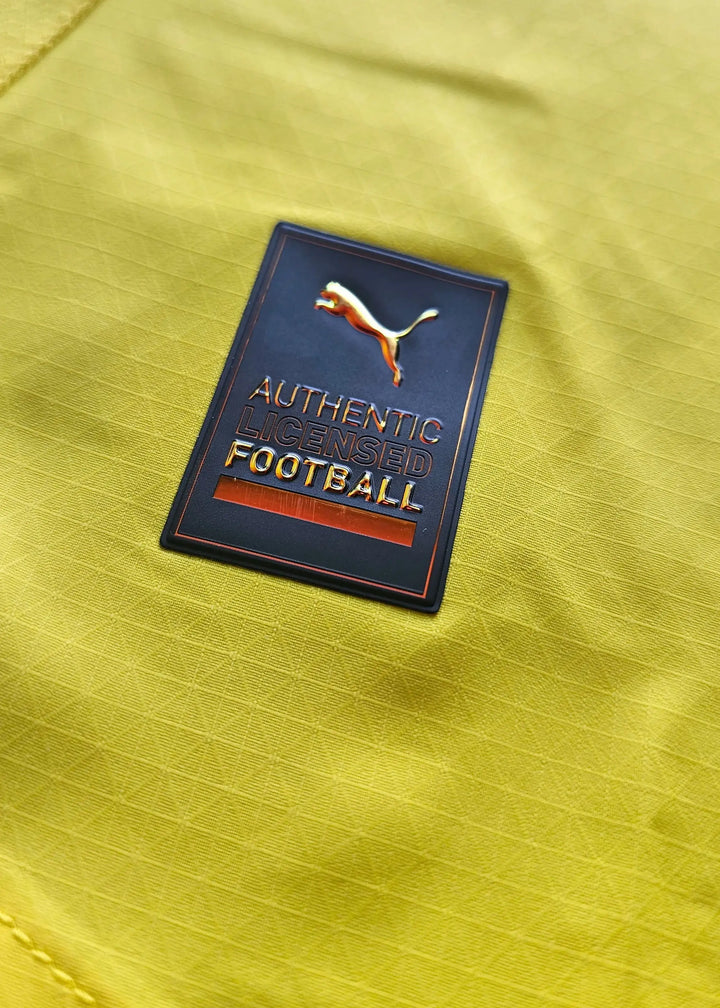 Close-up of the crest detail with &