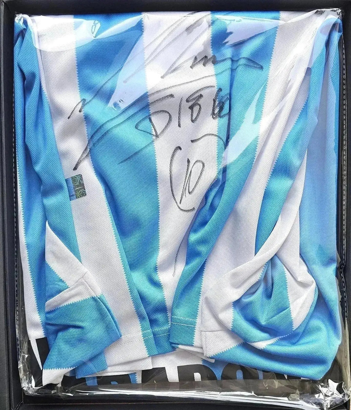 Diego Maradona signature on blue and white striped Argentina soccer jersey with number 10.