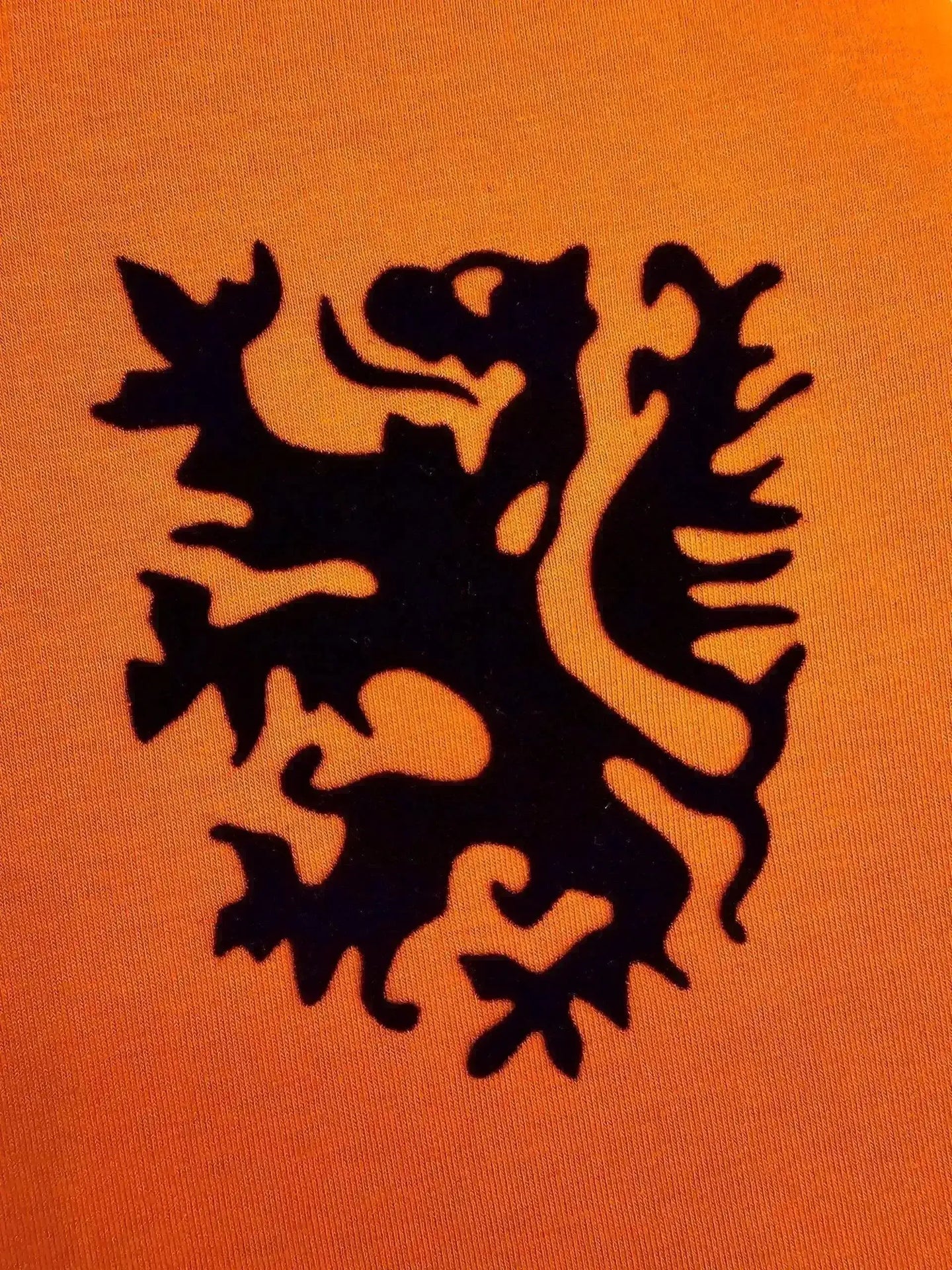Detail of the Holland crest featuring a black lion on an orange background.