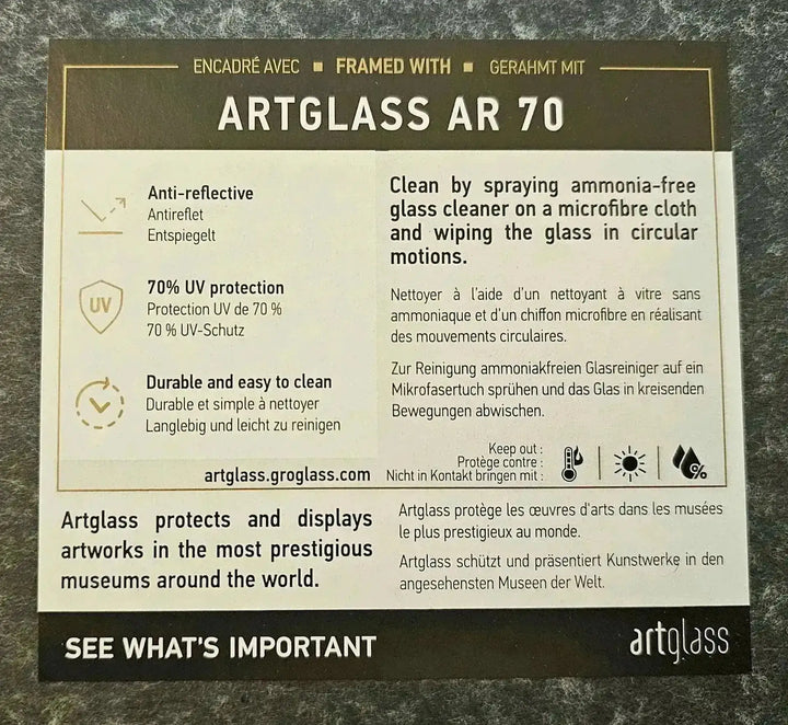 Detail view showing anti-reflective features and care instructions for framed art glass.