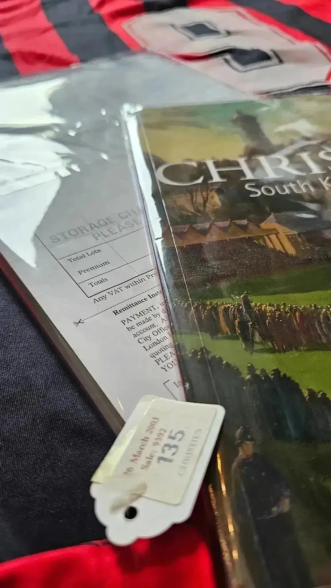 Detail view showing the number 9 and AC Milan elements on the red and black striped football shirt.