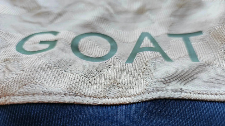 Close-up of &