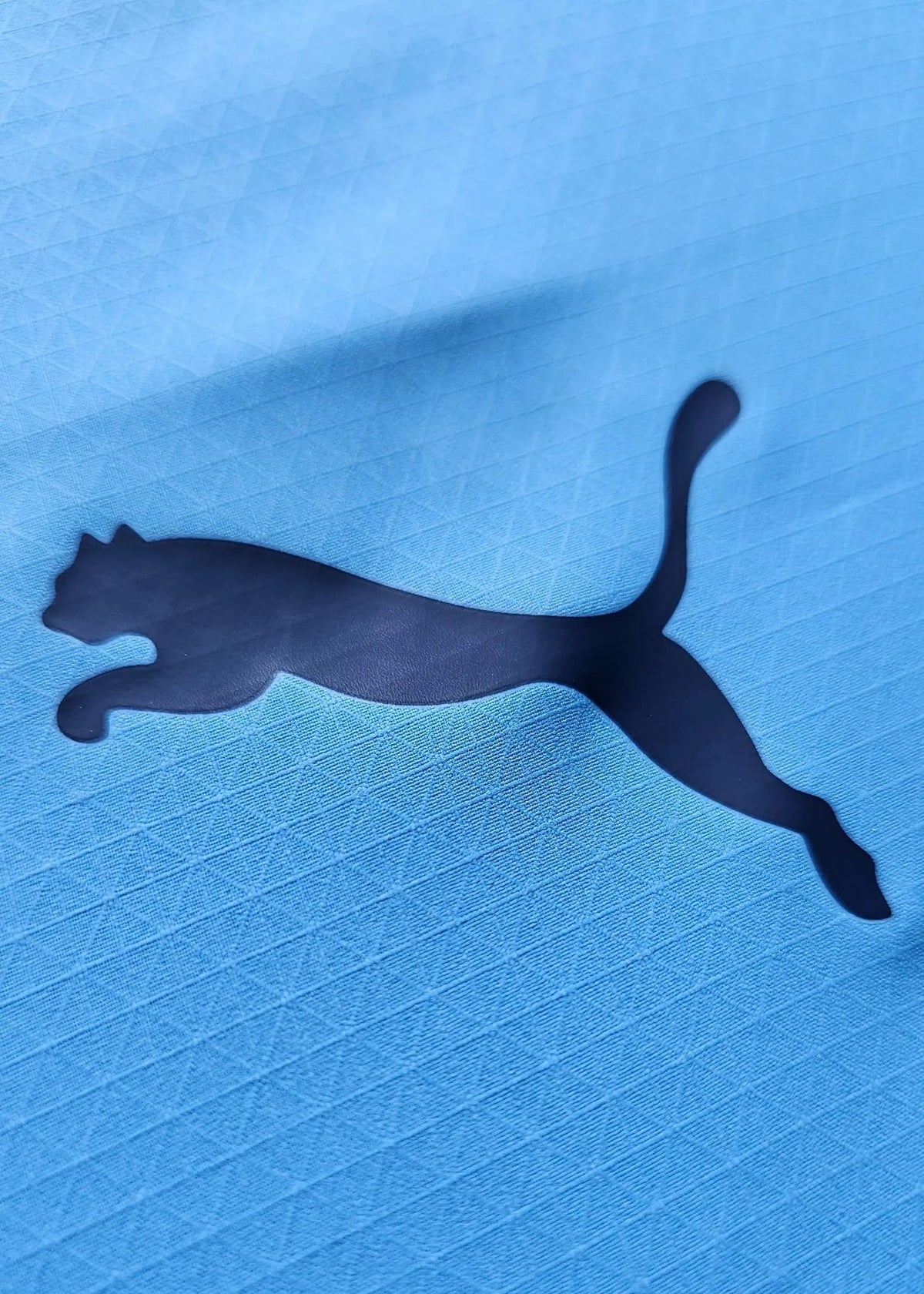 Close-up of the black Puma leaping-cat logo on sky-blue fabric, from the signed Reigan Heskey Manchester City F.C. 2025-2026 shirt.