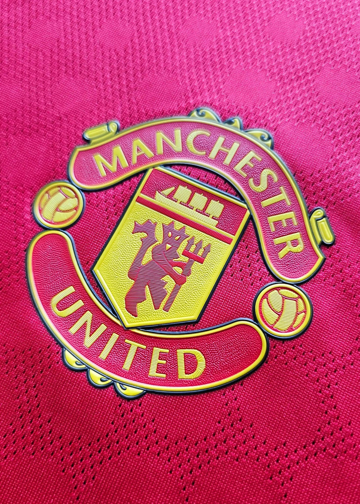 Close-up of the Manchester United crest with red and yellow detailing and a lion emblem.
